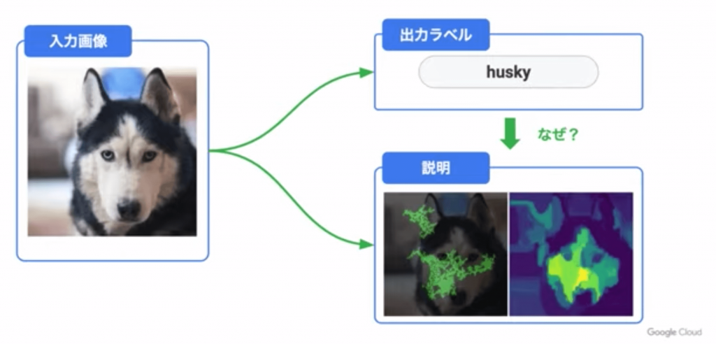 AutoML Explanations狼の例